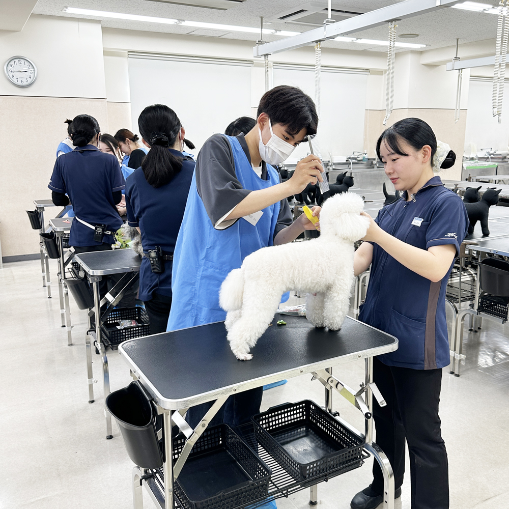 高校３年生対象！入学前のプレ授業♪